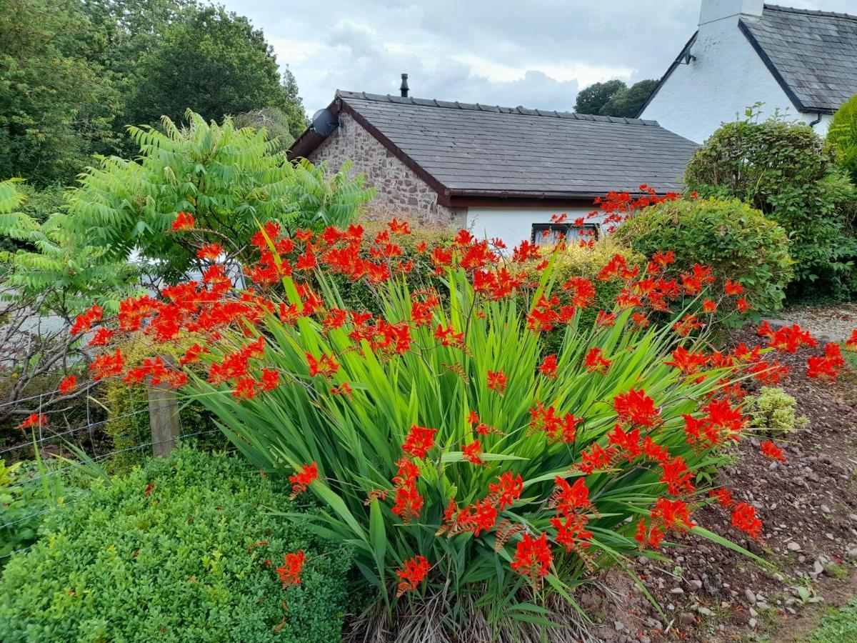 Auld Ffynnon Villa Brecon Exterior photo