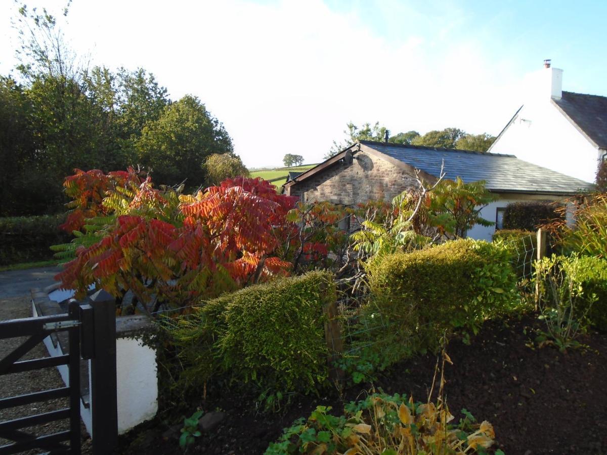 Auld Ffynnon Villa Brecon Exterior photo